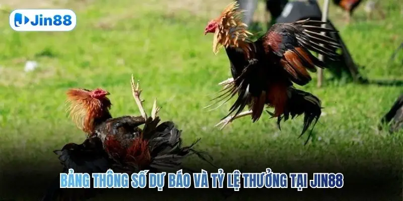Đá Gà Thomo JIN88 – Quy Tụ 10+ Trận Đấu Mỗi Ngày - hình ảnh - lxqvvkikh.top