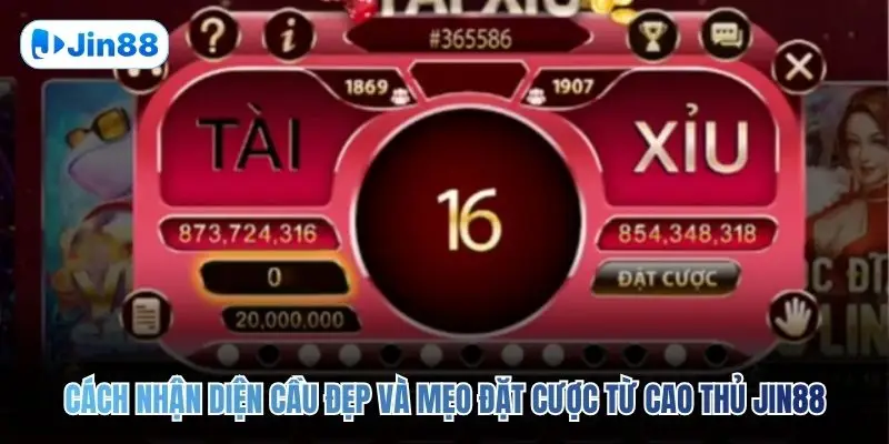 Tài Xỉu JIN88 – Top 5 Bí Quyết Để Về Bờ An Toàn 2026 - hình ảnh - lxqvvkikh.top