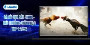Đá gà JIN88 - Jin88 - hình ảnh - lxqvvkikh.top
