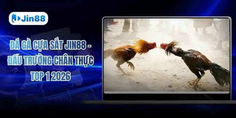 Đá Gà Cựa Sắt JIN88 – Đấu Trường Chân Thực Top 1 2026 - hình ảnh - lxqvvkikh.top